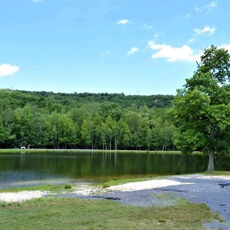 *Amenity-Filled Waterfront Oasis @Saw Creek Estates Near Waterfalls And Hiking* 이스트스트로즈버그 외부 사진