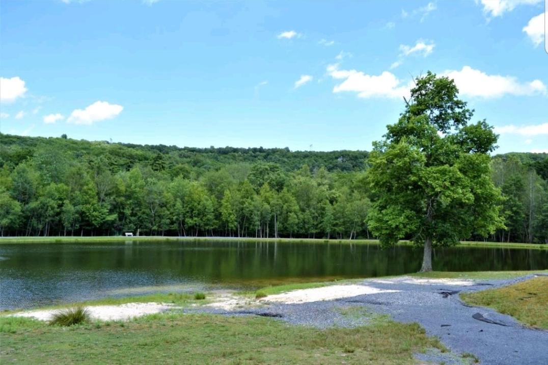 *Amenity-Filled Waterfront Oasis @Saw Creek Estates Near Waterfalls And Hiking* 이스트스트로즈버그 외부 사진