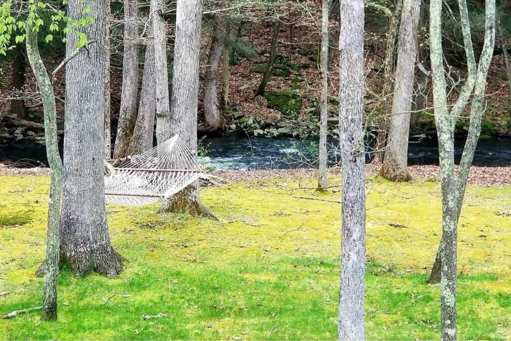 *Amenity-Filled Waterfront Oasis @Saw Creek Estates Near Waterfalls And Hiking* 이스트스트로즈버그 외부 사진