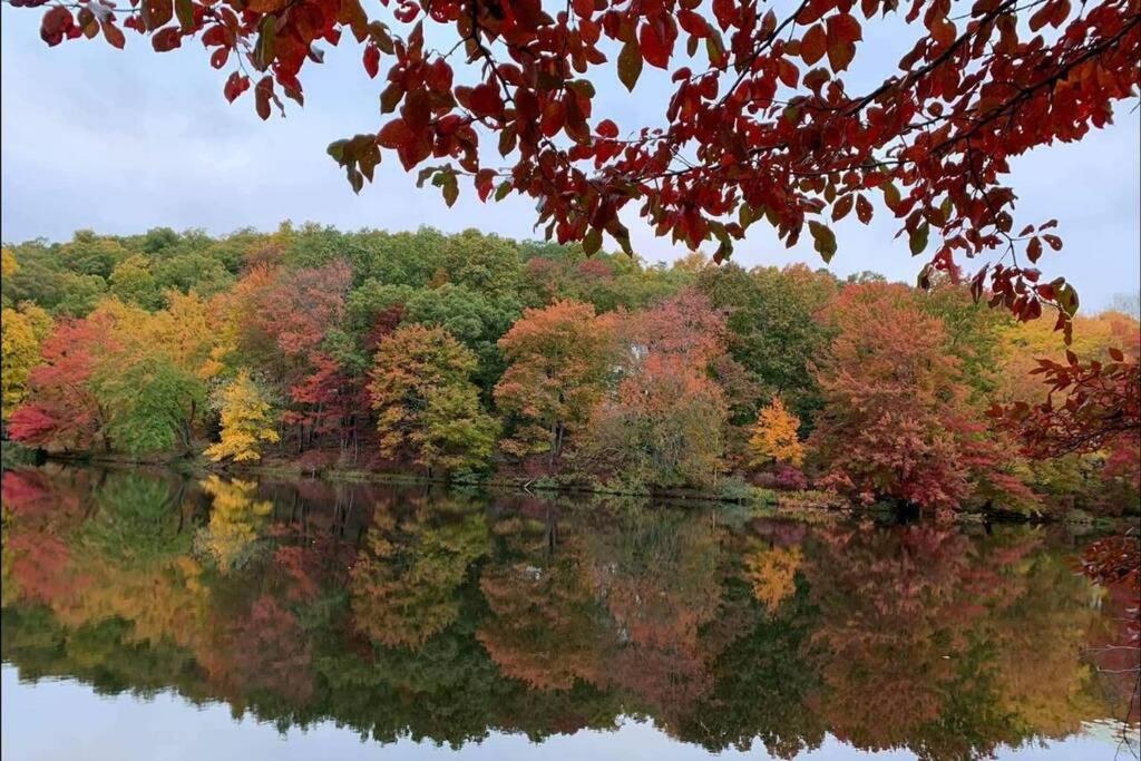 *Amenity-Filled Waterfront Oasis @Saw Creek Estates Near Waterfalls And Hiking* 이스트스트로즈버그 외부 사진