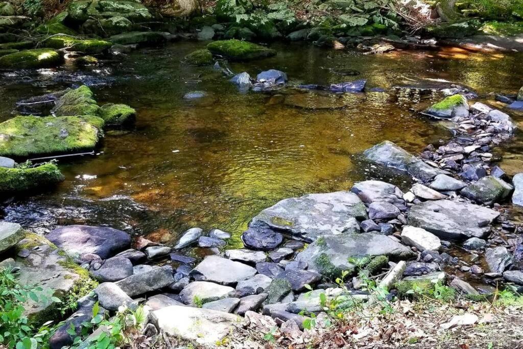 *Amenity-Filled Waterfront Oasis @Saw Creek Estates Near Waterfalls And Hiking* 이스트스트로즈버그 외부 사진